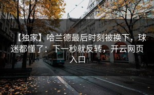 【独家】哈兰德最后时刻被换下，球迷都懂了：下一秒就反转，开云网页入口