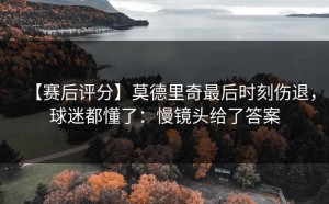 【赛后评分】莫德里奇最后时刻伤退，球迷都懂了：慢镜头给了答案