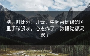 别只盯比分，开云：中超莱比锡禁区里手球没吹，心态炸了，数据党都沉默了