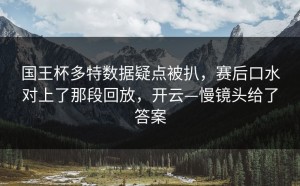 国王杯多特数据疑点被扒，赛后口水对上了那段回放，开云—慢镜头给了答案