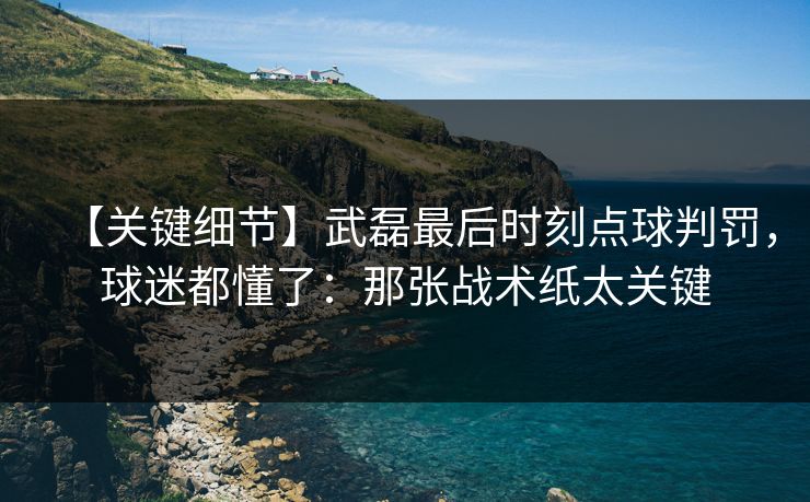 【关键细节】武磊最后时刻点球判罚，球迷都懂了：那张战术纸太关键