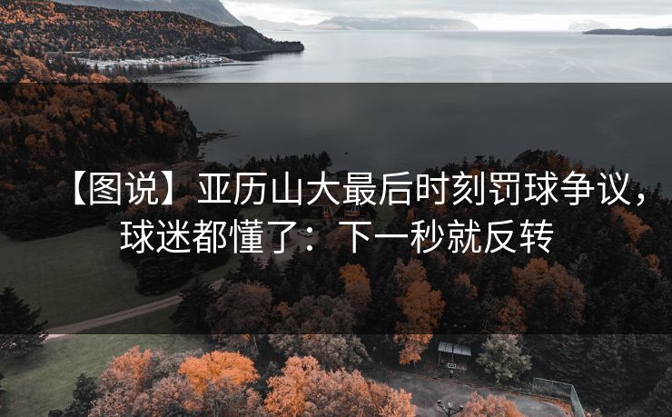 【图说】亚历山大最后时刻罚球争议,球迷都懂了:下一秒就反转 【图说】亚历山大最后时刻罚球争议,球迷都懂了:下一秒就反转